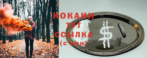 ECSTASY Кукмор