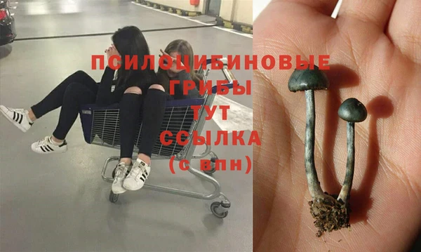 2c-b Козловка