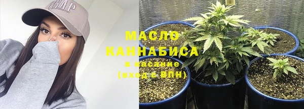 молекула духа Кулебаки